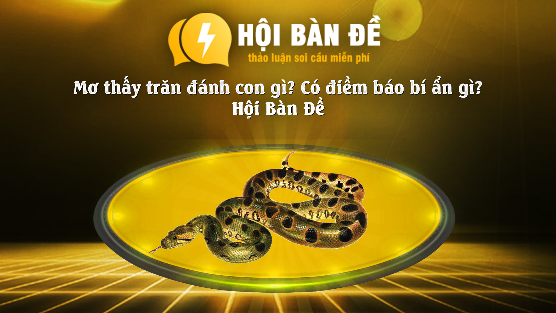 Mo Thay Tran Danh Con Gi Co Diem Bao Bi An Gi Hoi Ban De