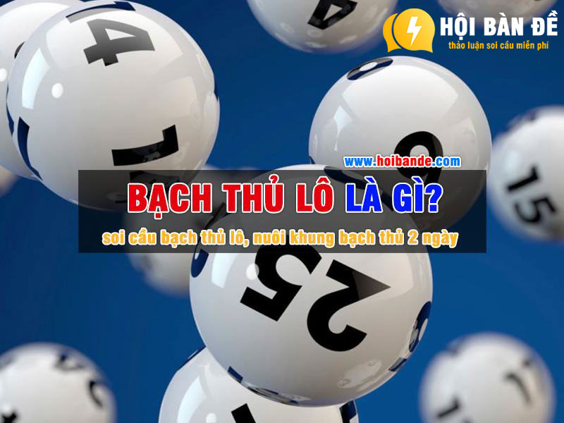 Bach Thu Lo La Gi Top 5 Phuong Phap Soi Cau Bach Thu Lo Cuc Chuan Tu Cao Thu 1665136201